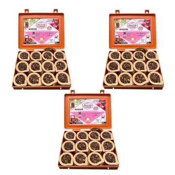 Sambrani Havan Dashang Dhoop Cup (Pack of 3, 36 Cups)