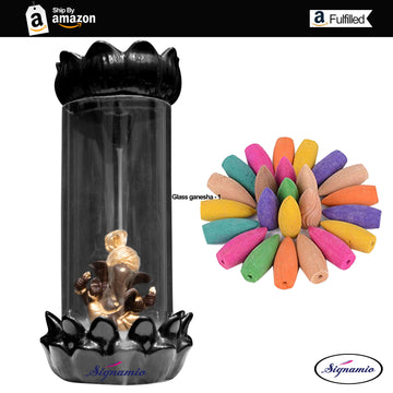 Aromatic Essence of Ganeshji Back Flow Fountain - 1 Pcs/30 Cones
